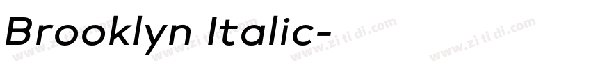 Brooklyn Italic字体转换